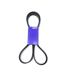 V-ribbed belt 20430615